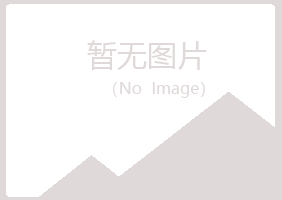 阿勒泰白山化学有限公司